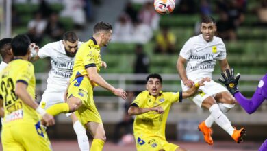 بسبب دعمه للأشقاء في غزة : تعليق قوى من حفيظ دراجى على ما يحدث ضد كريم بنزيما