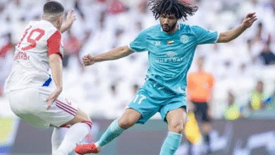 محمد النني،