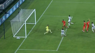 ابراهيم عادل، الدولي المصري يقود الجزيرة للفوز على عجمان والتأهل لربع نهائي كأس الامارات