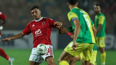 مجموعة الأهلي، ترتيب الفرق عقب الفوز على شبيبة القبائل برباعية