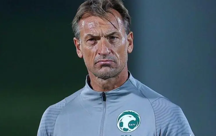 هل يقود رينارد الأهلي الموسم المقبل