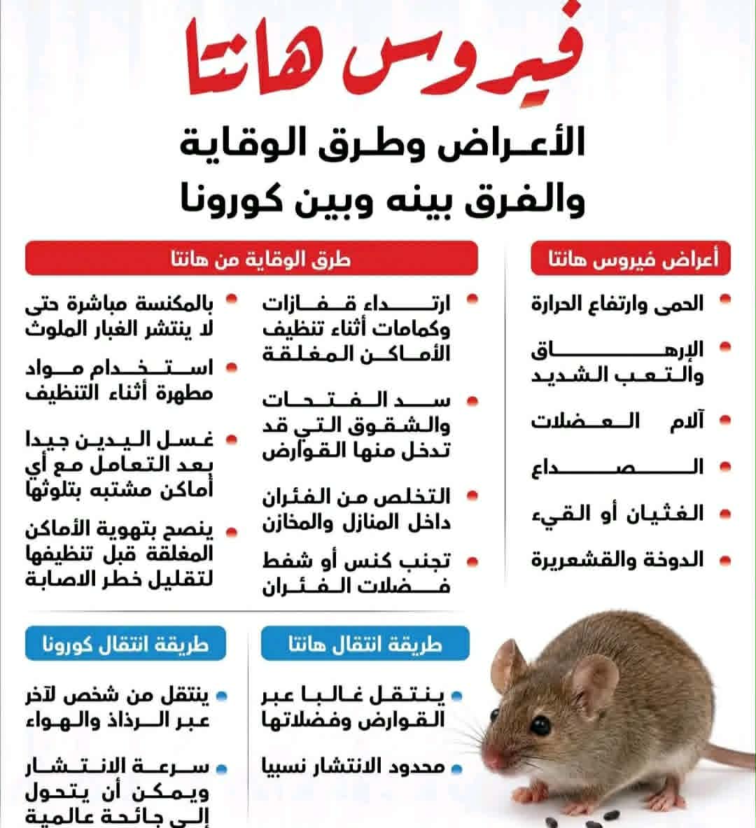 فيروس هانتا يثير القلق.. الأعراض وطرق الوقاية والفرق بينه وبين كورونا